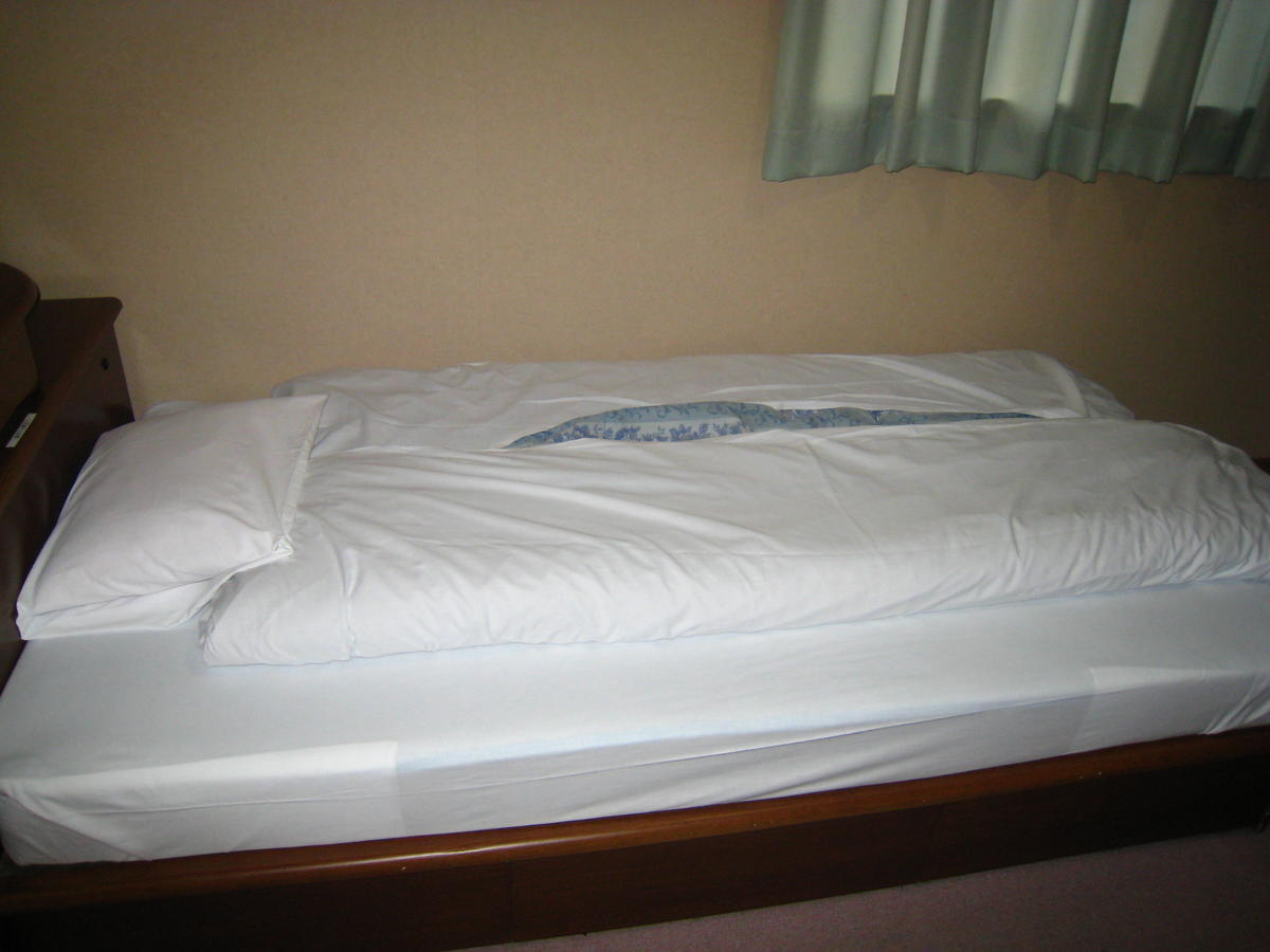 Business Hotel Ojiro Shizuoka Rum bild